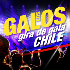 Por Amor (En Vivo)