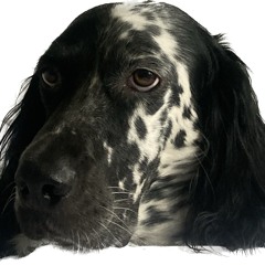 Accompanying Flute 🪈