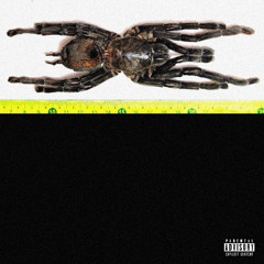 Vesk. - Present Moment