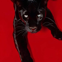 Monyunn - Putting Down