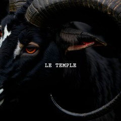 Le Zoo Dj set (Trance | Techno)