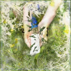 Glade Of The Mother