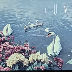 luv (prod. Synce) >>OUT ON ALL PLATS<<