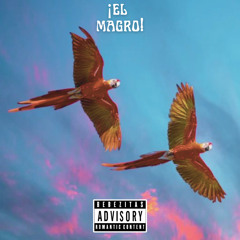 el magro - guacamoyos volando