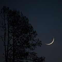 Improvisaciones23-07-27 v4