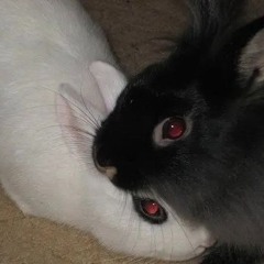 Green (prod. girlcumbaptism)