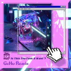 NARXZ - Is This The Funk U Want (GoHu Remix)