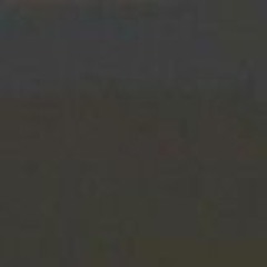 My Singing Monsters - Poewk (All Monster Sounds).mp3