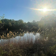 beachtrip/جاناي x RoNa + @sewmyskin