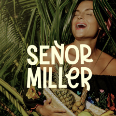 Tropical Summer [LIVE MINI-MIX] ~ Chill Rave with Tropical, latin & afro house ~ SEÑOR MILLER