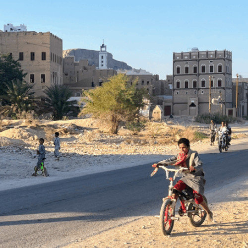 Yemen en contexto: dinámicas locales, regionales y humanitarias de un conflicto complejo