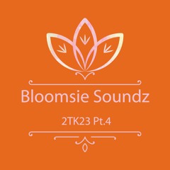 Pattern World (2TK23)