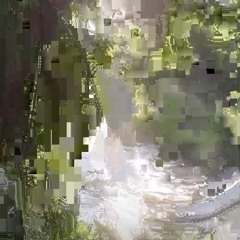 Wild Nature (Crazy)
