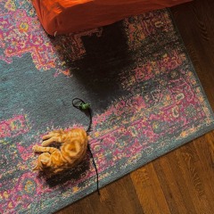 DO YOU LOVE ME? (w/ Austin Kwon)