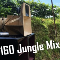 Selector Spinach - 160 Jungle Mix