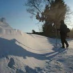 consequence of snow