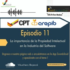 EPISODIO No 11 UNION TEMPORAL PROVEEDOR VAUCHERS DE INNOVACION