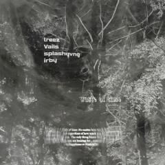 waste of time w/ Vails (prod. splashgvng x irby)