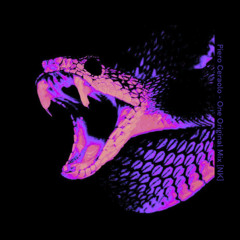 Piero Ceraolo - One [NK]__FD