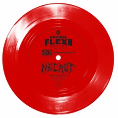 Necrot " Into The Labyrinth" (2020 version) (dB116)