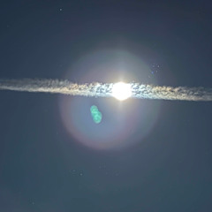 the boreal crossing (secre x babieyummo)