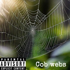 Cob Webs