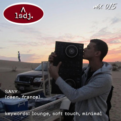 SANY - LSDJ! Mix 015