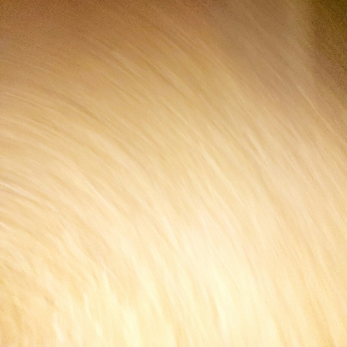 Dreaming of a Better World