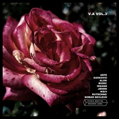 R/D/V - Wrong