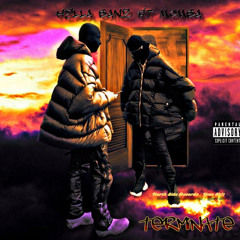 Terminate-Hella Banzz Ft MomBa