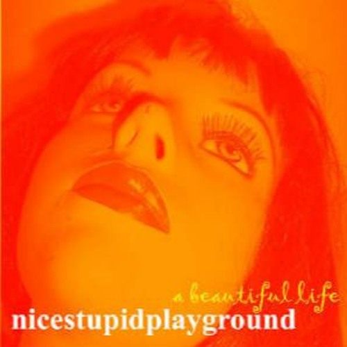 Nicestupidplayground – Because We Are