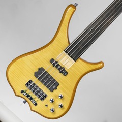 Warwick RockBass Infinity 5 Fretless