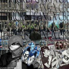 TERRORIST GANG - SUMMER NIGHTS