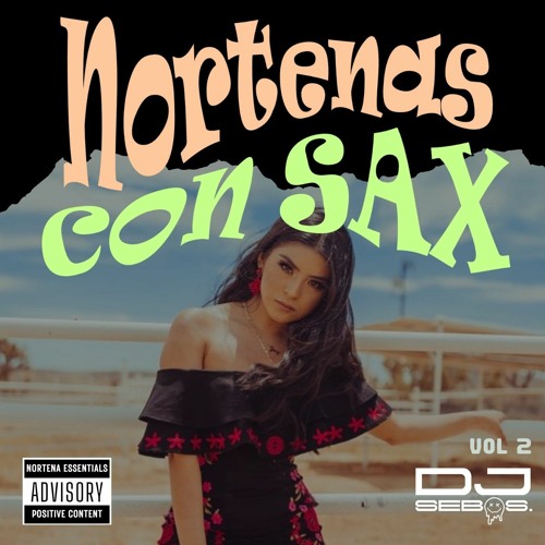 NORTENA VOL 2 - 2024 MIXX