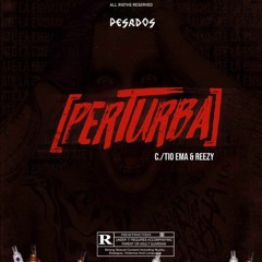 PERTURBA-C/(TIO EMA & JROCKY)