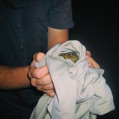 .·✩·.¸b⋆o⋆u⋆n⋆c⋆e¸.·✩·.