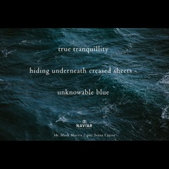 Tranquillity beneath [naviarhaiku325]