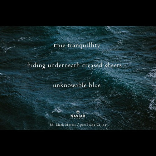 Tranquillity beneath [naviarhaiku325]