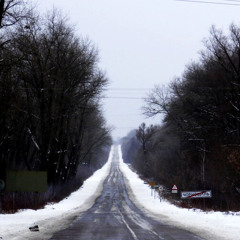Frost
