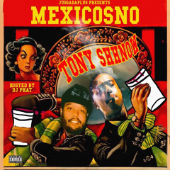 Tony Shhnow - Street Money [prod. Xangang]