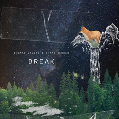BREAK