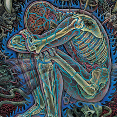 dmt syntax eye lid closer