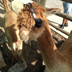 WHODIS? W/ THE HOMIE TIM 250724