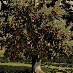 the apple tree