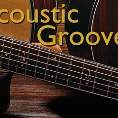 Acoustic Groovers - Wond'ring Aloud