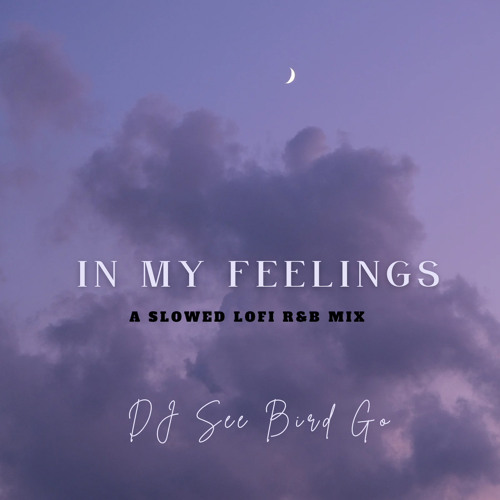 In My Feelings - A Slowed Lofi R&B Mix