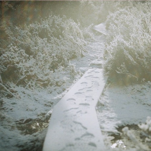 Infinite Wurldwide w/ Dot.AY - 01132021
