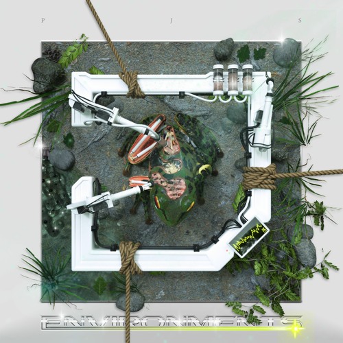 PJS - Forest