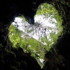 beltane ✺ new moon mix