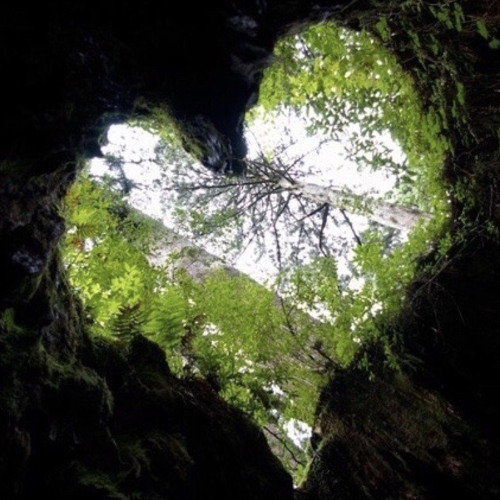 beltane ✺ new moon mix